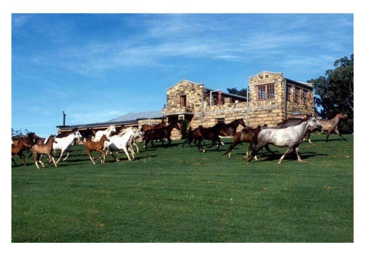 Moolmanshoek Private Game Reserve Fouriesburg Εξωτερικό φωτογραφία